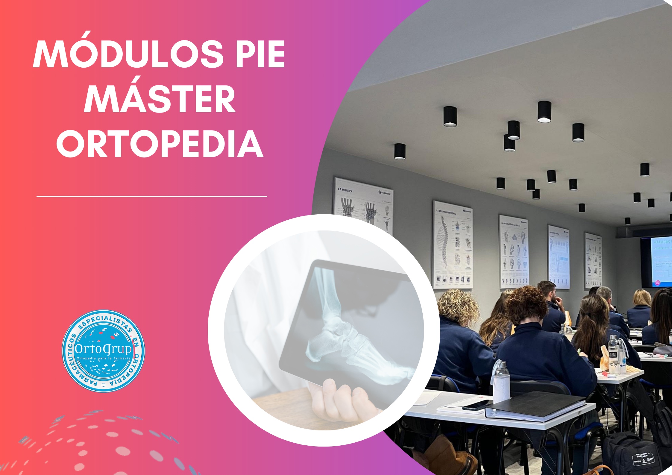 MÓDULOS PIE MÁSTER ORTOPEDIA